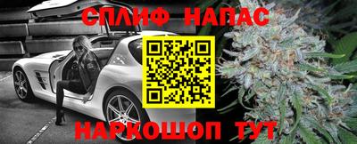стаф Будённовск