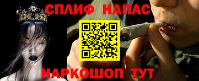 стаф Будённовск