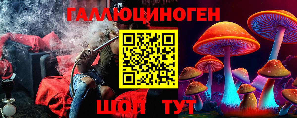 Галлюциногенные грибы прущие грибы  Вход с VPN  Шатура  Галлюциногенные грибы MAGIC MUSHROOMS 